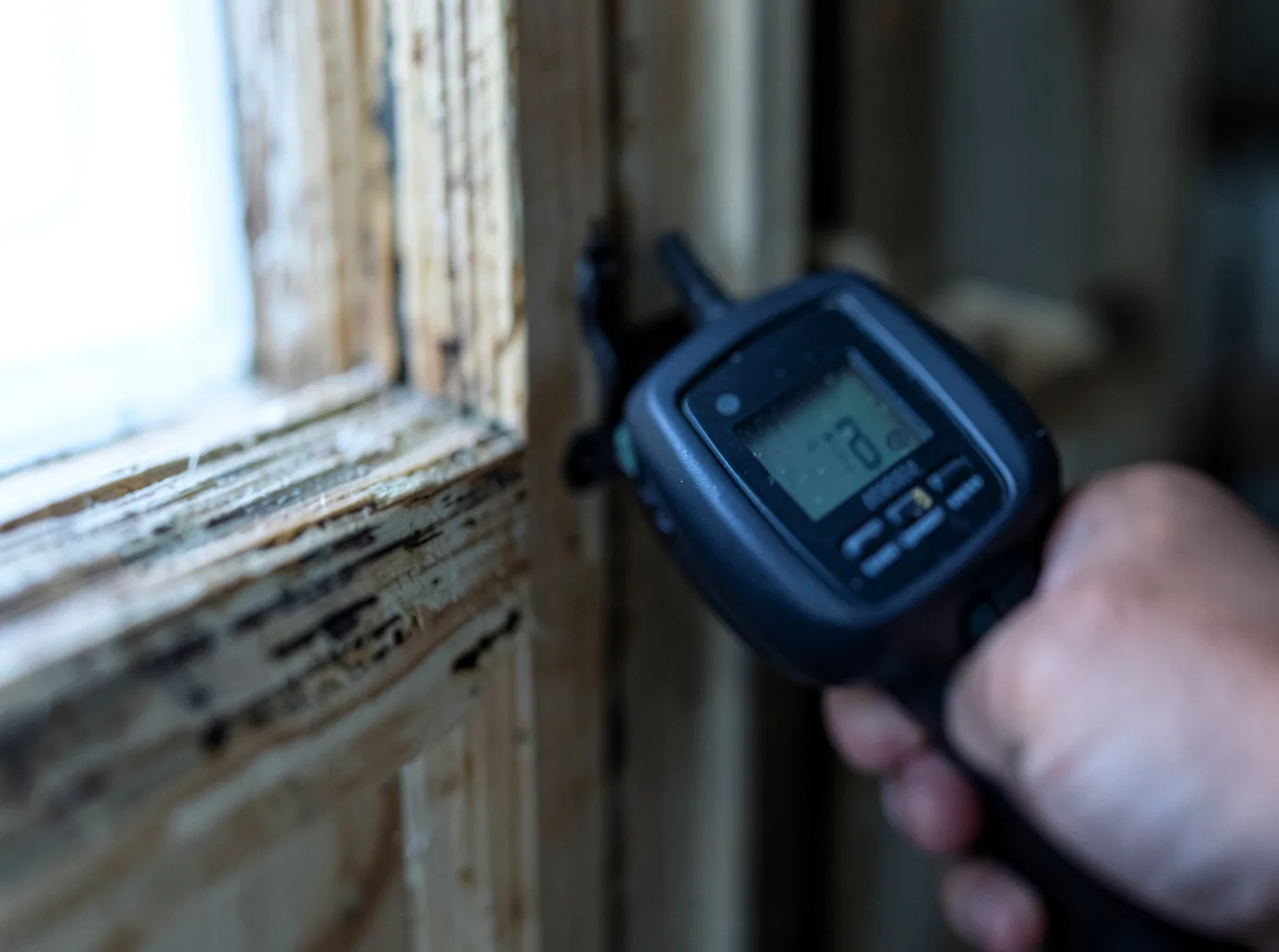 Moisture Inspection And Documentation in Shohola, PA